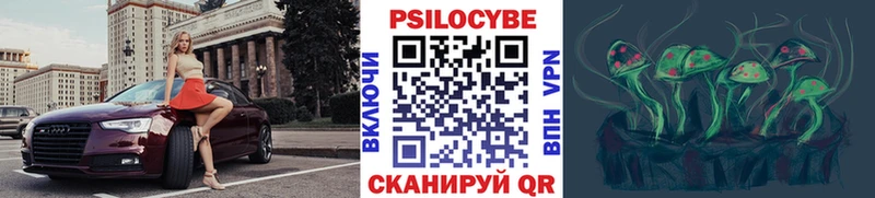 kraken ССЫЛКА  Колпашево  Псилоцибиновые грибы Psilocybe 